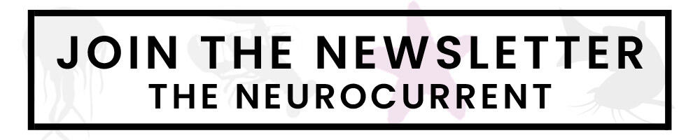 graphic that says 'join the newsletter - the neurocurrent'